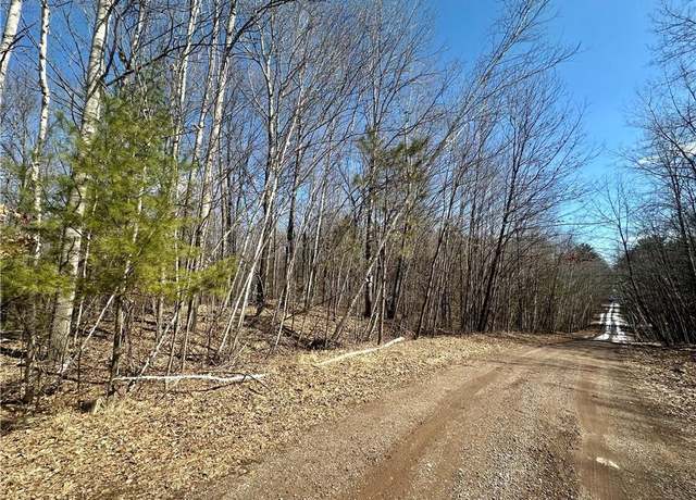Property at 9.55+/- Acres Lot 10/11 290th Ave, Holcombe, WI 54745