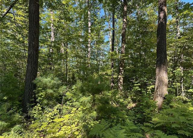 Property at 0 E Wilderness Ct, Barnes, WI 54873