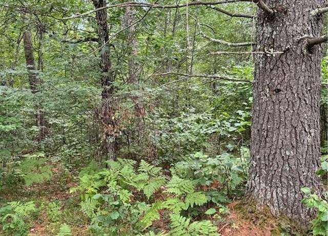 Property at 0 E Wilderness Ct, Barnes, WI 54873