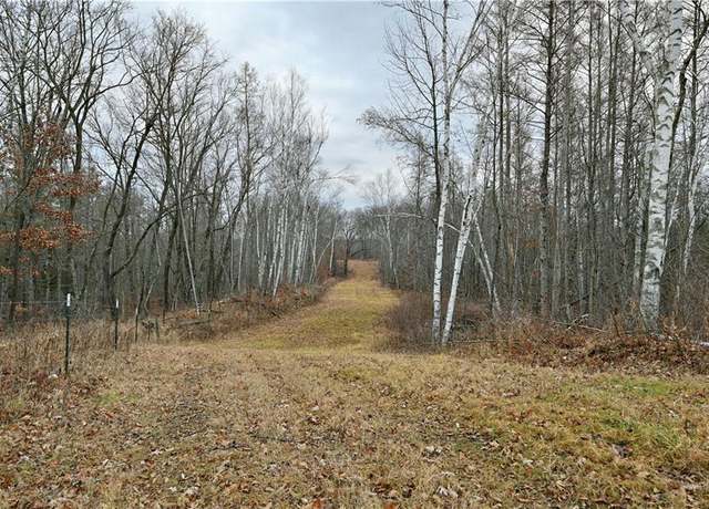 Property at 67 acres Mclean Rd, Bruce, WI 54819