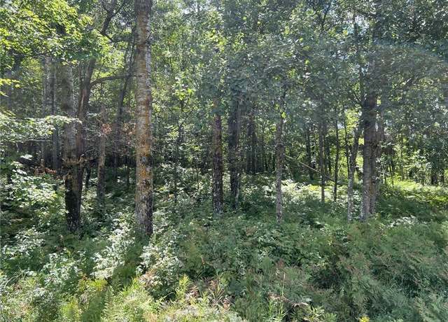 Property at XXXX Tollander Rd, Siren, WI 54872