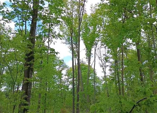 Property at North 10 150th St, Frederic, WI 54837