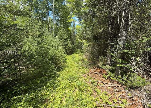 Property at 00 Co Rd L, Lake Nebagamon, WI 54849
