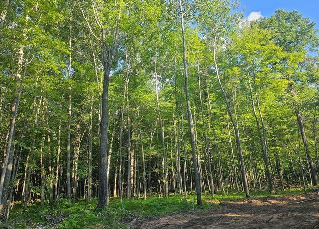 Property at Lot 4 County Rd A, Webster, WI 54893
