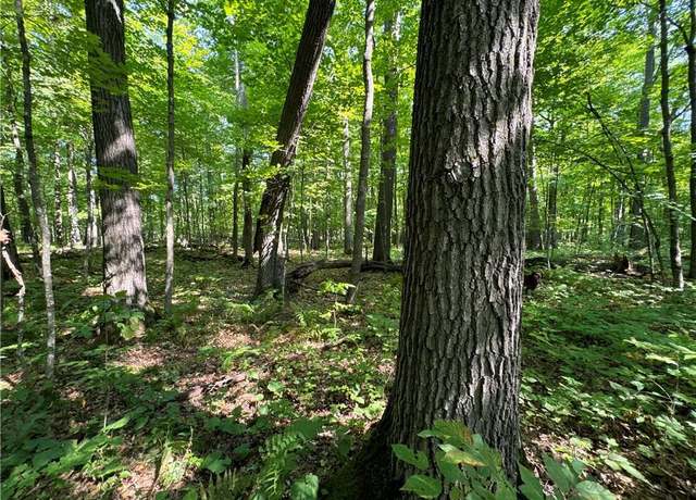 Property at 3088 110th Ave, Frederic, WI 54837