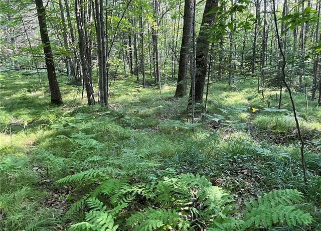 Property at Lot 3 Falcon Rdg, Hayward, WI 54843