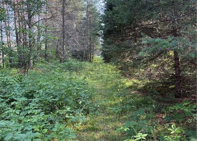 Property at 0 Tagalder Trl, Hayward, WI 54843