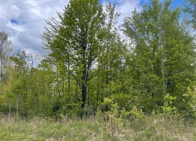Property at 30 Acres On Weinberger Rd, Butternut, WI 54514