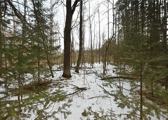 Property at 0 1st St, Trego, WI 54888