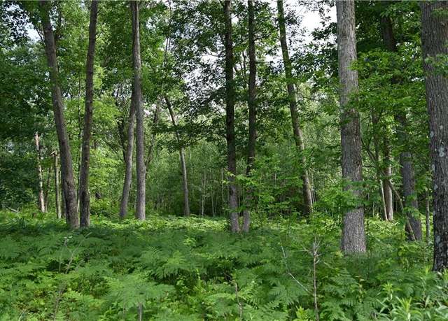 Property at 8887 Fosberg Rd, Siren, WI 54872