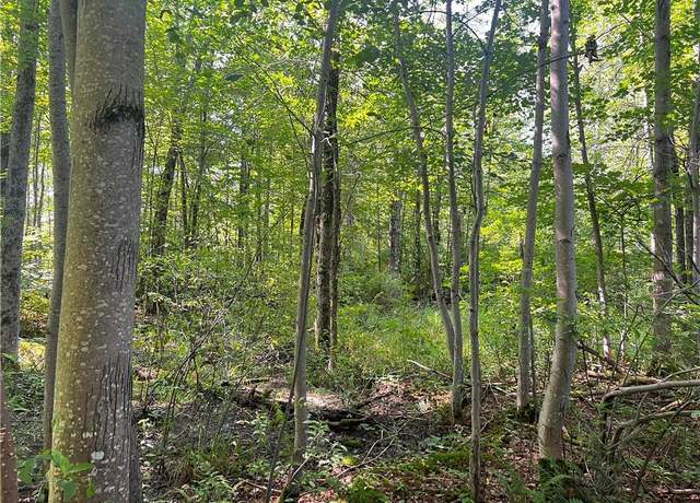 Property at 0 Hunter Lake Rd, Winter, WI 54896
