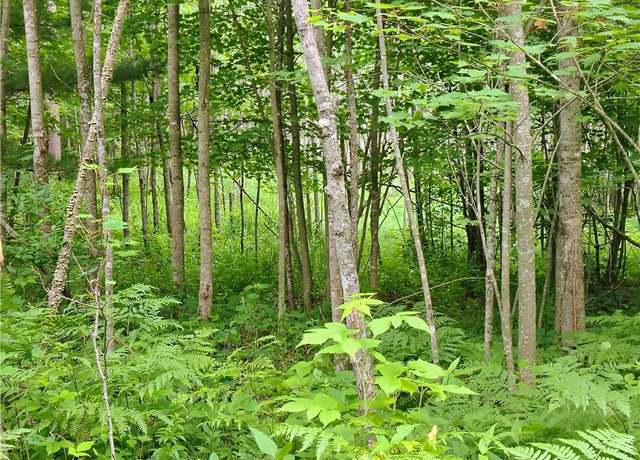 Property at 25322 Mansfield Rd, Webster, WI 54893