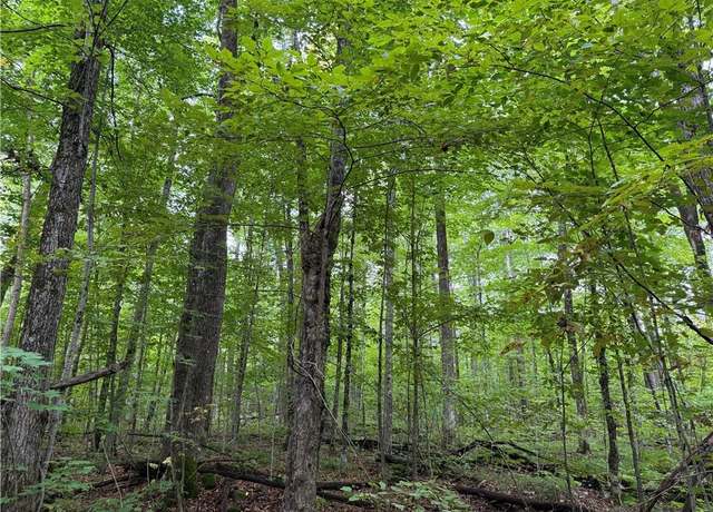 Property at 9598 E County Road L, Lake Nebagamon, WI 54849