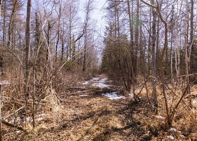Property at XXX Town Road T, Dairyland, WI 54830