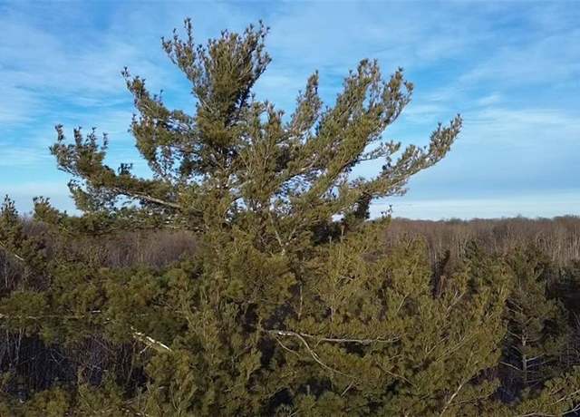 Property at 5926 Cr-W, Winter, WI 54896