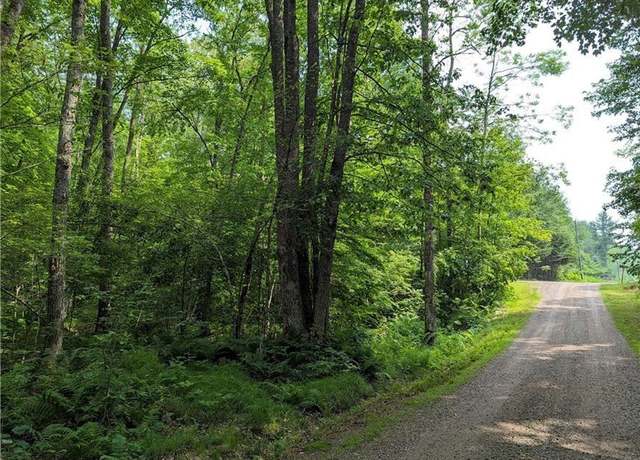 Property at 0 Price Dam Rd, Winter, WI 54896