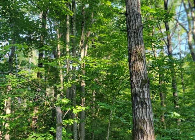 Property at On Daisy Ln, Ojibwa, WI 54862
