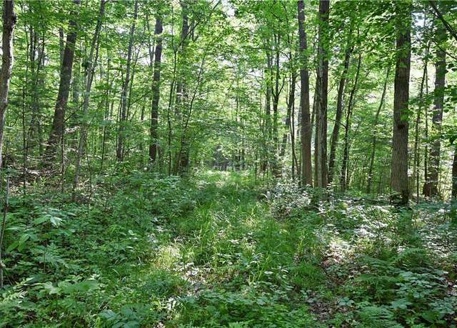 Property at 80 Acres 240th St, Cornell, WI 54732