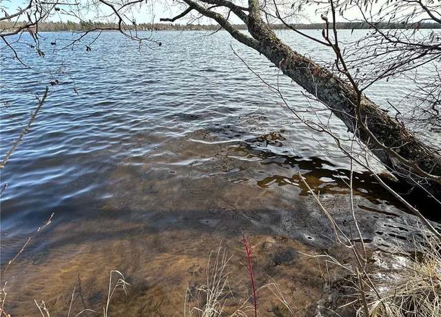 Property at 0 Willy Rd, Weyerhaeuser, WI 54895