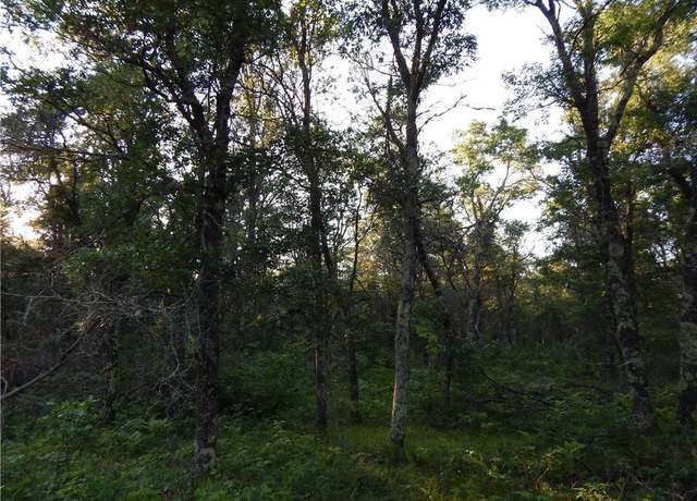 Property at XXX Namekagon Trl, Danbury, WI 54830