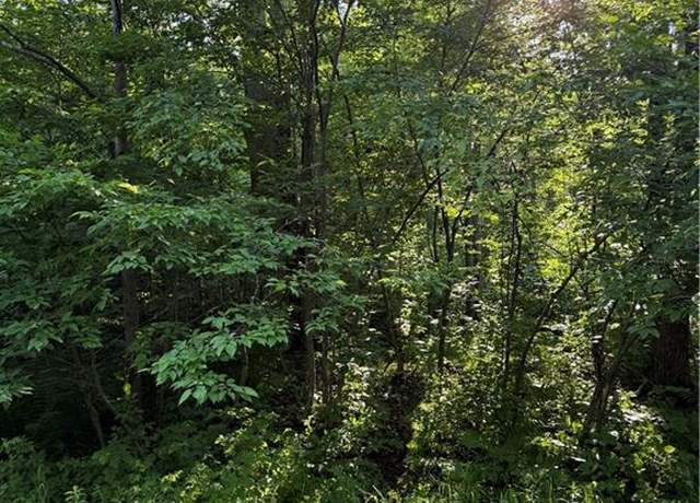 Property at 0 Mack Lake Rd, Trego, WI 54888