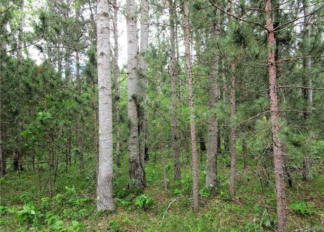 Property at Lot 111 & 112 Bridle Rd, Webster, WI 54893