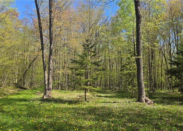 Property at N 900 Joes Rd, Conrath, WI 54731