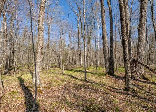 Property at 0 Olson Rd, Hayward, WI 54843