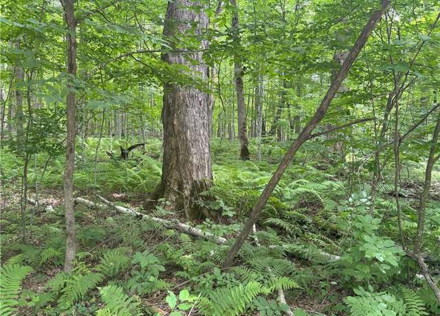 Property at 0 28 7/16-28 9/16 St, Birchwood, WI 54817