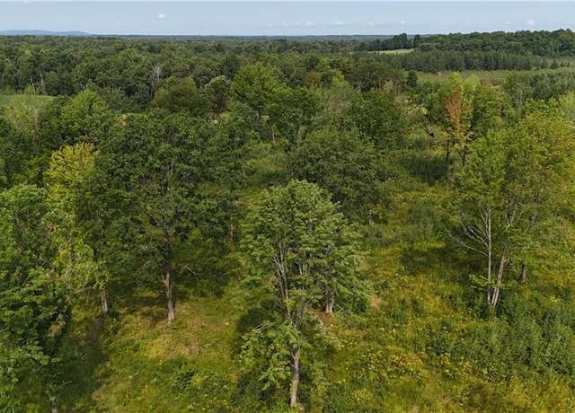 Property at 19 acres (+/-) County Highway G, Holcombe, WI 54745
