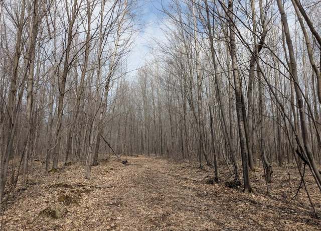Property at 00 Skyline Dr, Stanley, WI 54768