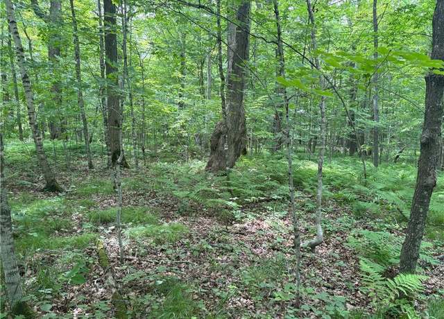 Property at 0 28 7/16-28 9/16 St, Birchwood, WI 54817