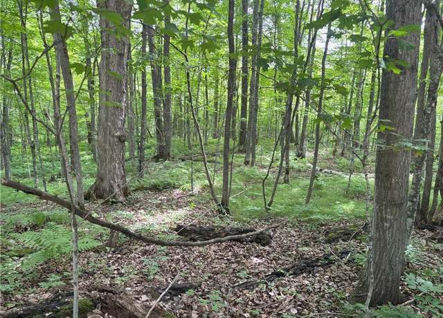 Property at 0 29 1/2 Ave St, Birchwood, WI 54817