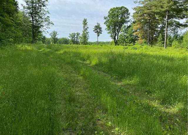 Property at 81 acres Pinnow Rd, Bruce, WI 54819