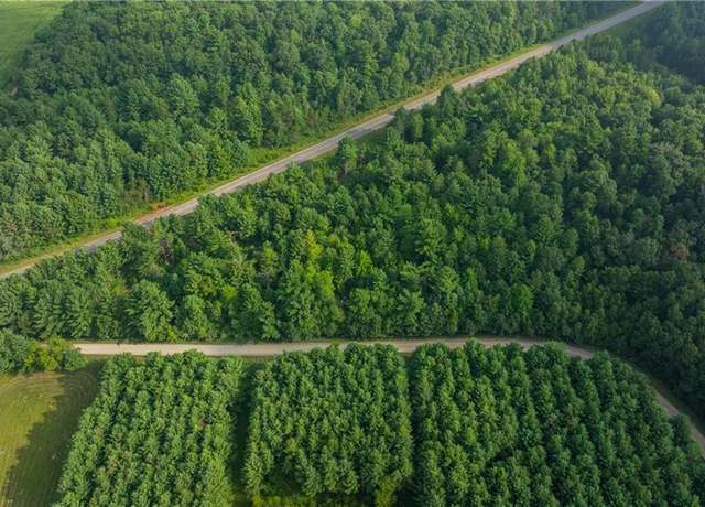 Property at +/- 13 Acres County B / Monthei Rd, Fairchild, WI 54741