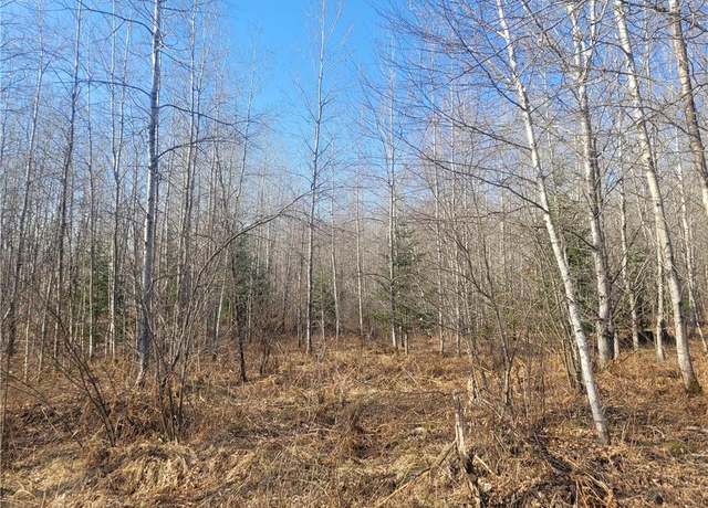Property at Near Knowles Rd, Loretta, WI 54896
