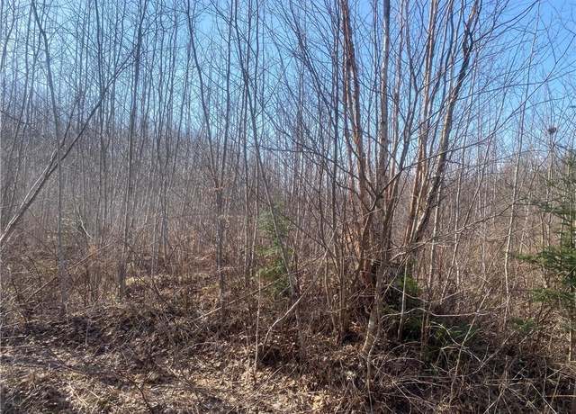 Property at Near Bass Lake Rd, Park Falls, WI 54552