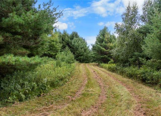 Property at XXX County Rd F, Trego, WI 54888