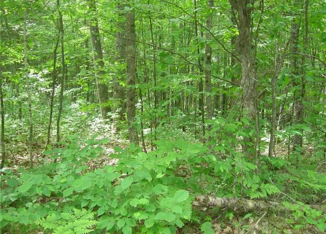 Property at 0 Tahkodah Lake Rd, Cable, WI 54821