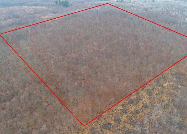 Property at 40 Acres Dickerson Ave, Thorp, WI 54771