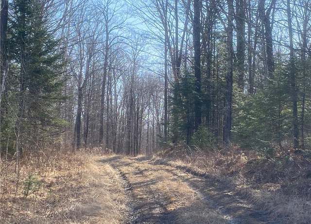 Property at ON S Buckhorn Rd, Park Falls, WI 54552