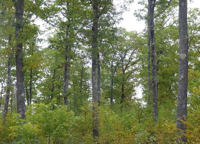 Property at Near Half Mile Rd, Herbster, WI 54844