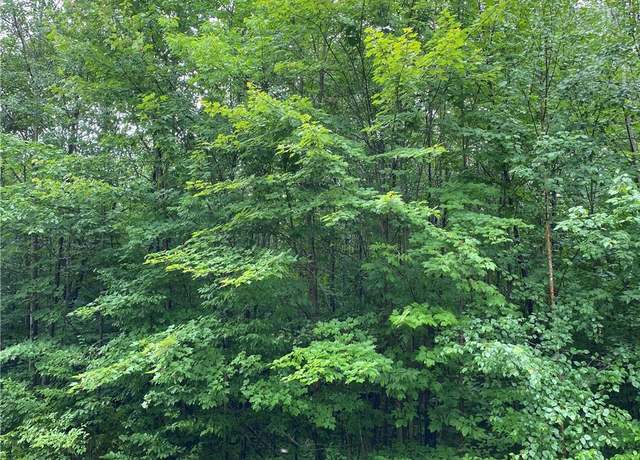 Property at NEAR Seven Mile Rd, Herbster, WI 54844