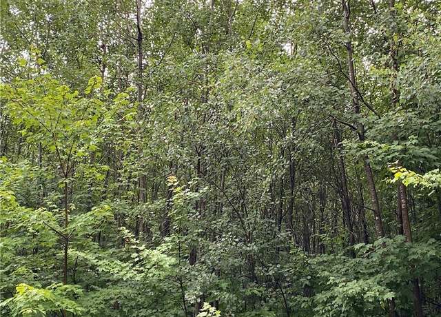 Property at NEAR Lenawee Rd, Herbster, WI 54844