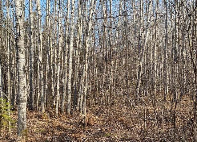 Property at Near Maple Rd, Phillips, WI 54555