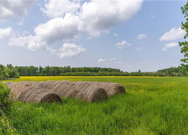 Property at 60 Acres Thatcher Rd, Glen Flora, WI 54526