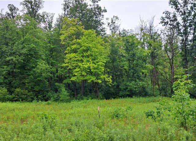 Property at Lot 3 Musky Point Dr, Stone Lake, WI 54876