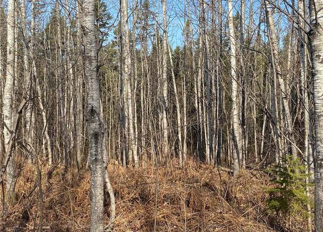 Property at Near Bear Lake Rd, Butternut, WI 54514