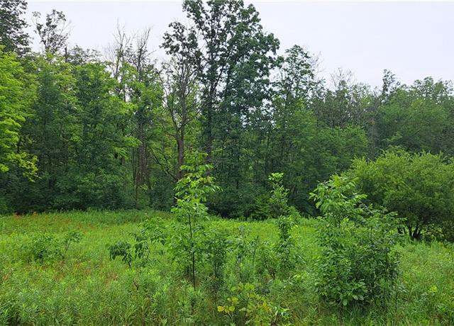 Property at Lot 4 Musky Point Dr, Stone Lake, WI 54876