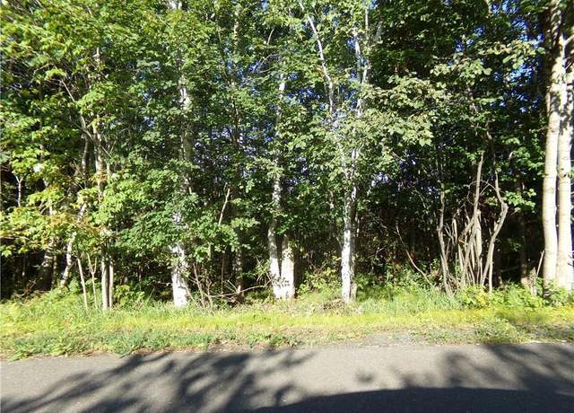 Property at 7581 S Marsik Lot 2 Rd, Lake Nebagamon, WI 54849